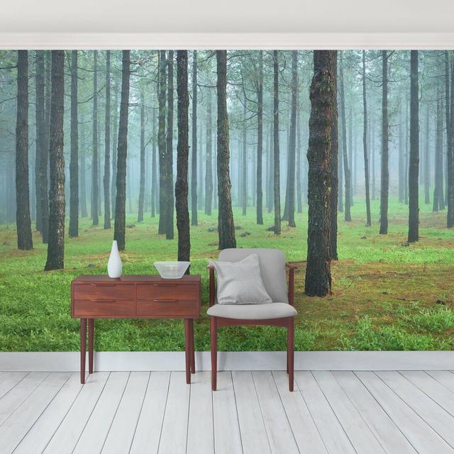 Pine Forest on La Palma Semi-Gloss Wallpaper Roll East Urban Home Size: 4.32m x 290cm, Materialqualität: Standard (110g/m²) on Productcaster.