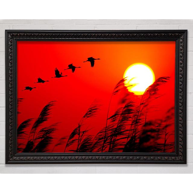 Geese In Flight Under The Red Sun Framed Print Bright Star Size: 59.7cm H x 84.1cm W on Productcaster.