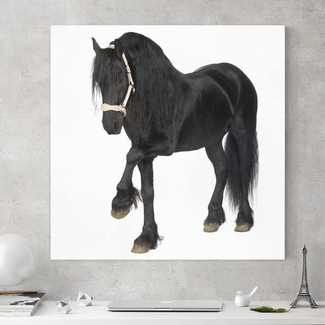 Frisian Mare - Wrapped Canvas Graphic Art East Urban Home Size: 70cm L x 70cm W on Productcaster.