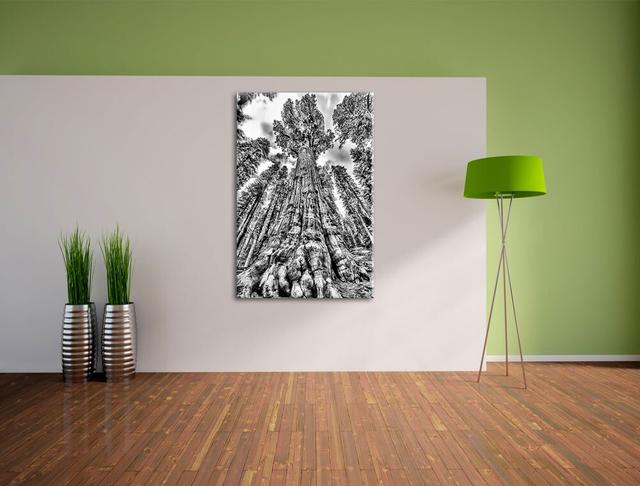 Leinwandbild Wald Riesenbaum Regenwald Nebel in Monochrom East Urban Home Größe: 100 cm H x 70 cm B on Productcaster.