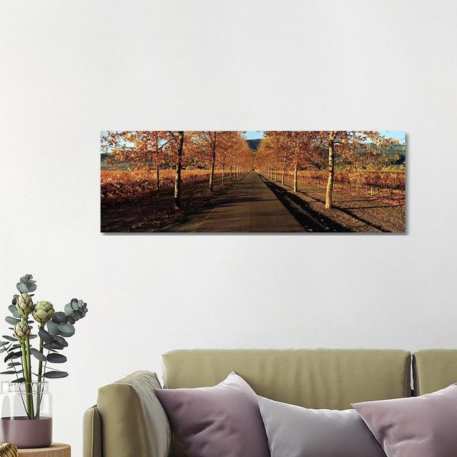 Autumn Vineyard Landscape, Beaulieu Vineyard, Rutherford AVA - Wrapped Canvas Panoramic Photograph Brayden Studio Size: 40.64cm H x 121.92cm W x 1.905 on Productcaster.