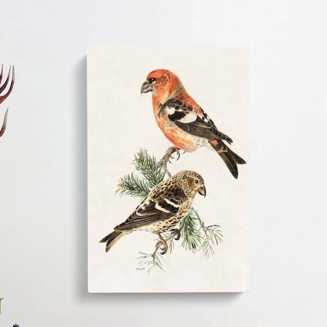 Crossbill Birds by Von Wright - Wrapped Canvas Painting Print East Urban Home Size: 76cm H x 50cm W x 3cm D on Productcaster.