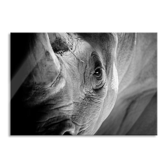 Close-Up Of A Rhino - No Frame Print on Glass Brayden Studio Size: 60cm H x 80cm W x 0.4cm D on Productcaster.