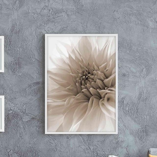 Dahlia in Dignity - Picture Frame Graphic Art Marlow Home Co. Size: 70cm H x 50cm W x 2cm D, Frame Option: White Framed on Productcaster.