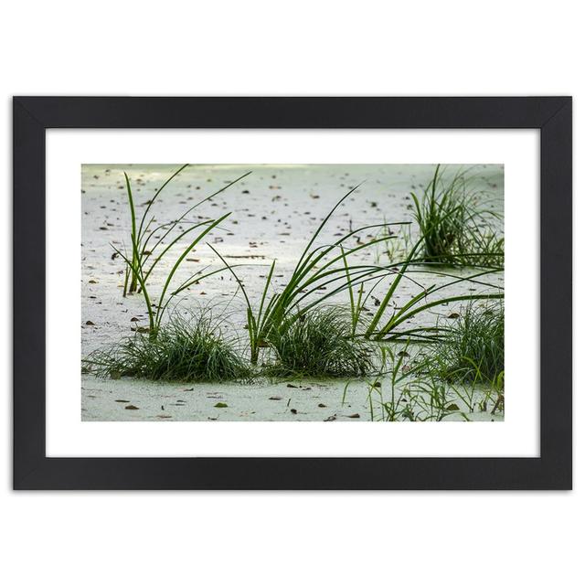 Pictures with frames, beach sand, grass green House of Hampton Format: Black, Size: 70cm H x 100cm W on Productcaster.