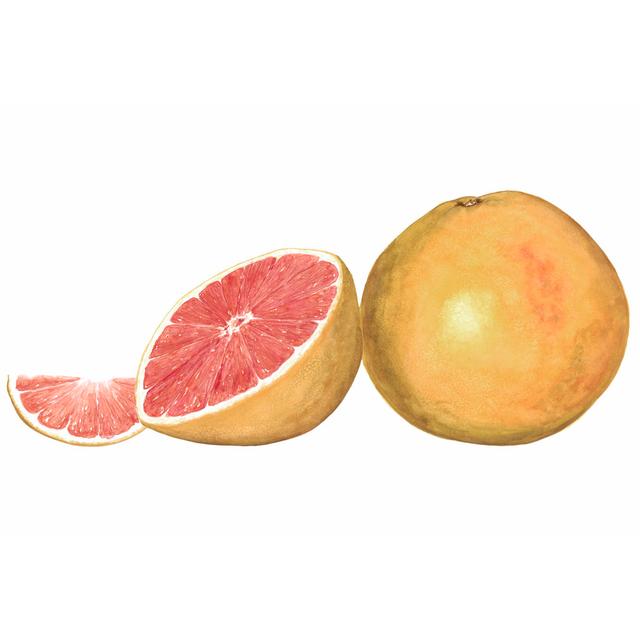 Watercolour Grapefruit by Michael Willett - Wrapped Canvas Painting Brambly Cottage Size: 51cm H x 76cm W on Productcaster.