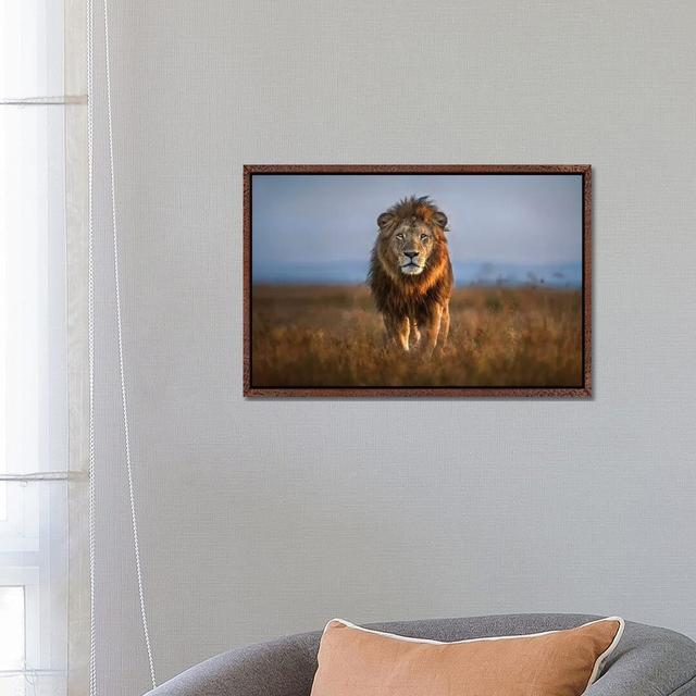 Lion Close Up by Xavier Ortega - Print on Canvas Bloomsbury Market Format: Classic Brown Wood Framed, Size: 45.72cm H x 66.04cm W x 3.81cm D on Productcaster.