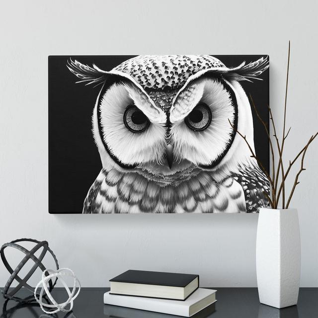 XXX-H1022-WF-6554X Owl Portrait Monochrome Vol.6 - Wrapped Canvas Print Alpen Home Size: 40cm H x 60cm W x 3cm D on Productcaster.