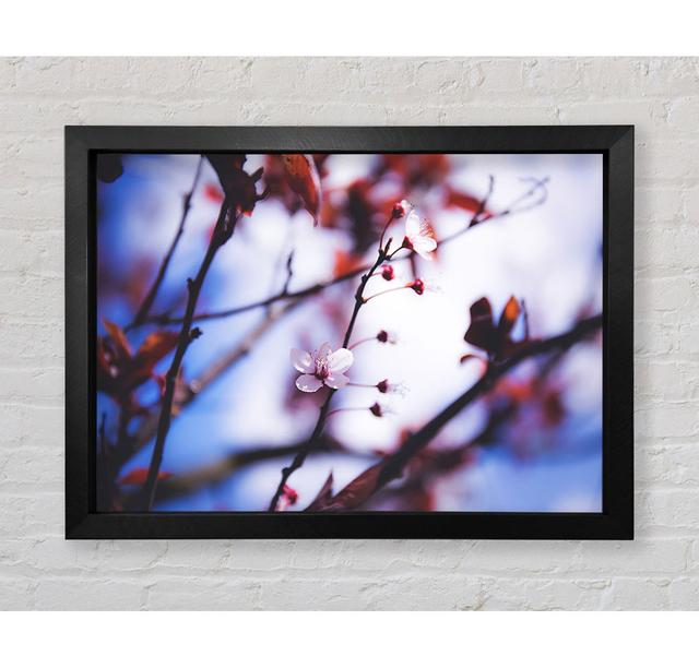 Tree Blossom Last Standing Framed Print Ophelia & Co. Format: Black Framed Paper, Size: 59.7cm H x 84.1cm W x 3.4cm D on Productcaster.