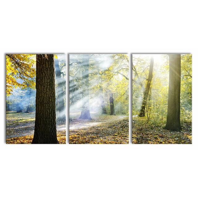 Sun Rays in the Forest 3-Piece Photograph Set on Canvas East Urban Home Size: 120cm H x 240cm W on Productcaster.