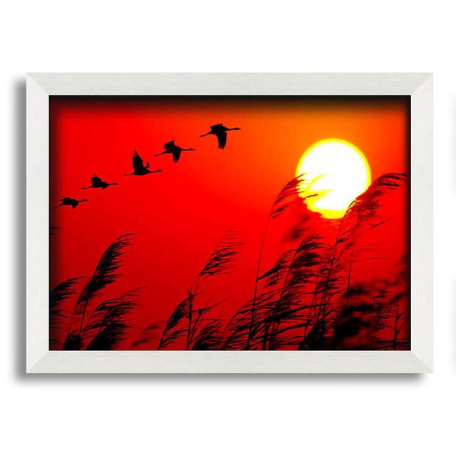 Geese In Flight Under The Red Sun Framed Print Wall Art Latitude Run Size: 42cm H x 59.7cm W x 10cm D on Productcaster.