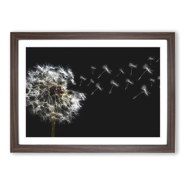 Dandelion Seeds Vol.10 - Picture Frame Graphic Art East Urban Home Frame Option: Walnut Framed, Size: 48cm H x 65cm W x 2cm D on Productcaster.