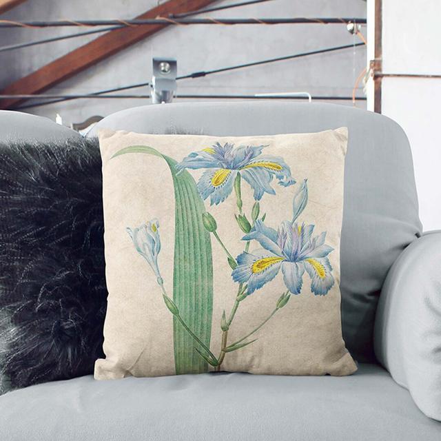 Butterfly Iris Flowers by Pierre-Joseph Redoute Cushion with Filling East Urban Home Size: 40cm H x 40cm W x 15cm D, Backing Colour: White on Productcaster.