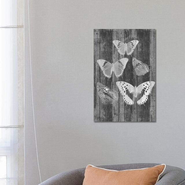 Rustic Butterfly Chart II by Jennifer Goldberger - Wrapped Canvas Print Brambly Cottage Size: 66.04cm H x 45.72cm W x 3.81cm D on Productcaster.