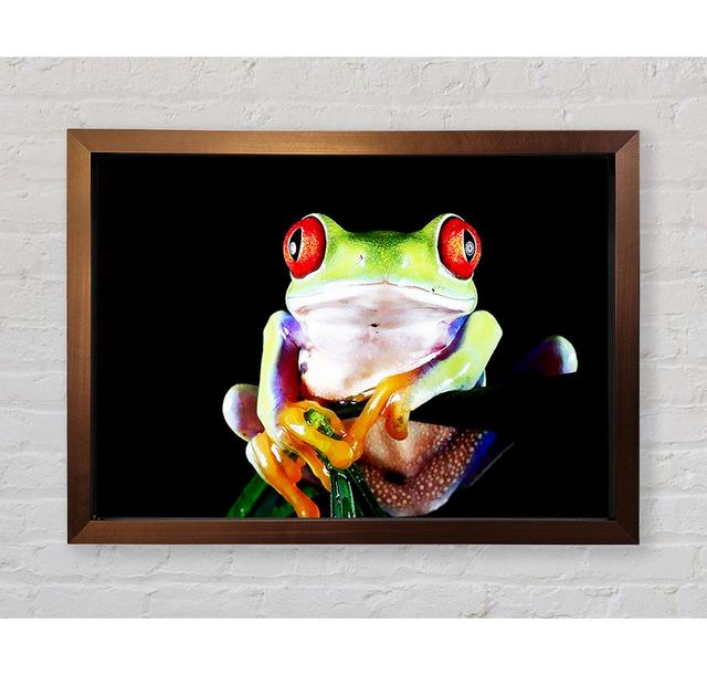 Single Picture Frame Art Prints 17 Stories Size: 84.1cm H x 118.9cm W on Productcaster.