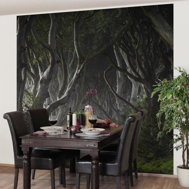 Forest Semi-Gloss Wallpaper Roll East Urban Home Size: 2.88m x 288cm, Materialqualität: Premium (150g/m²) on Productcaster.