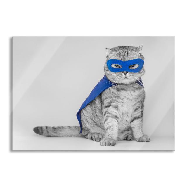 Cute Cat in a Superhero Costume - Unframed Photograph on Glass Brayden Studio Size: 60cm H x 80cm W x 0.4cm D on Productcaster.