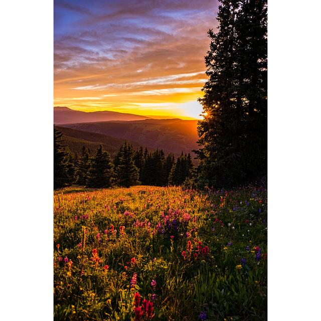 Sonnenuntergang und Wildblumen von Adventure_Photo - Drucken Alpen Home Größe: 75 cm H x 50 cm B on Productcaster.