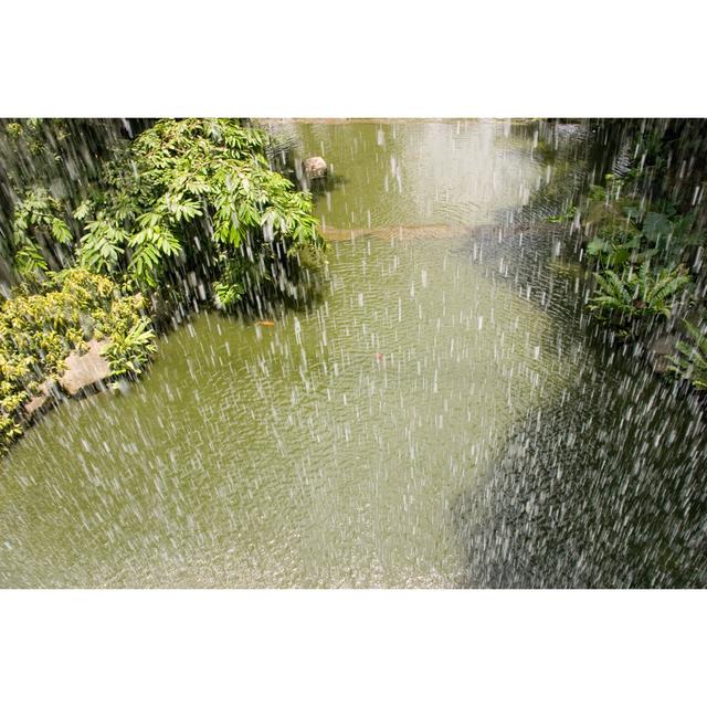 A Tropical Rainfall over a Tropic River - Wrapped Canvas Photograph Alpen Home Size: 61cm H x 91cm W on Productcaster.