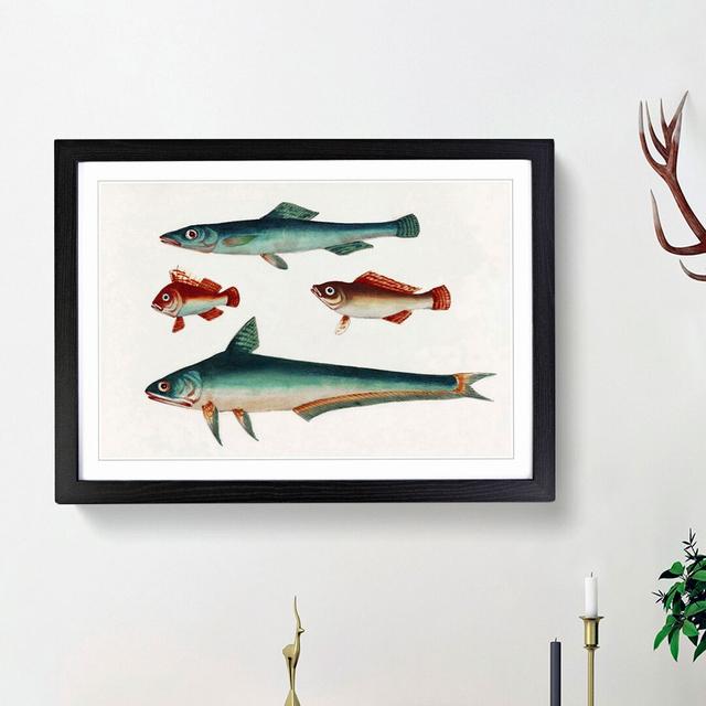 Two Brown and Green Fish - Picture Frame Painting Print East Urban Home Frame Option: Black Framed, Size: 48cm H x 65cm W x 2cm D on Productcaster.