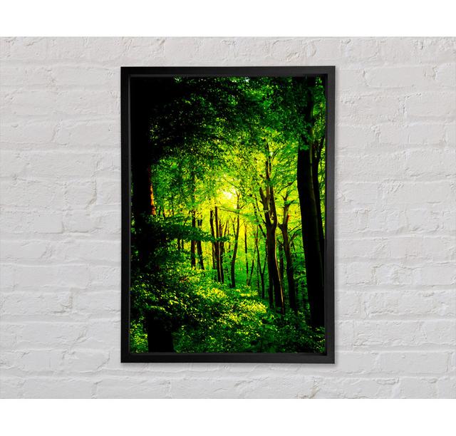 Emerald Forest Walk - Print Bright Star Size: 84.1cm H x 59.7cm W x 3.3cm D on Productcaster.