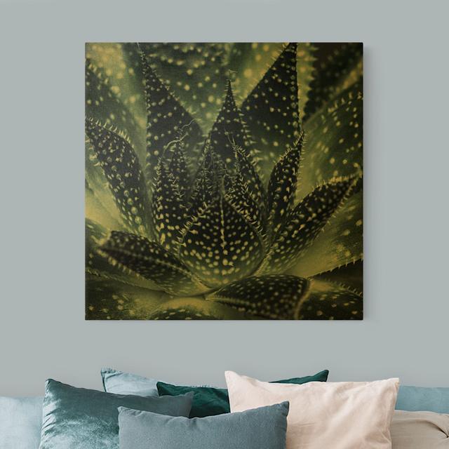 Cactus with star dots at night - Wrapped Canvas Graphic Art Bloomsbury Market Size: 80cm H x 80cm W, Format: 435g/m³ canvas gold, Colour: Gold on Productcaster.