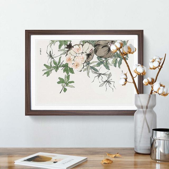 Pomegranate by Morimoto Toko - Picture Frame Painting Print East Urban Home Frame Option: Walnut, Size: 40cm H x 60cm W x 2cm D on Productcaster.