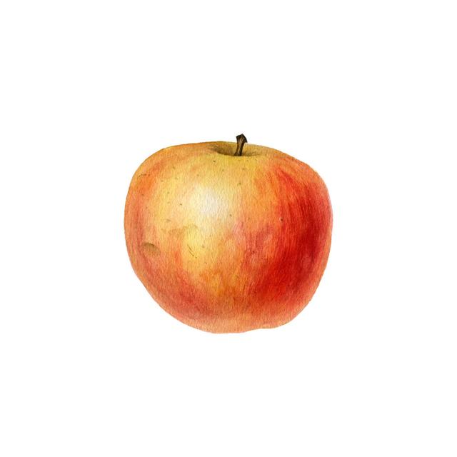 Watercolor Drawing Apple by Cat_arch_angel - Wrapped Canvas Art Prints Brambly Cottage Size: 91cm H x 91cm W x 3.8cm D on Productcaster.