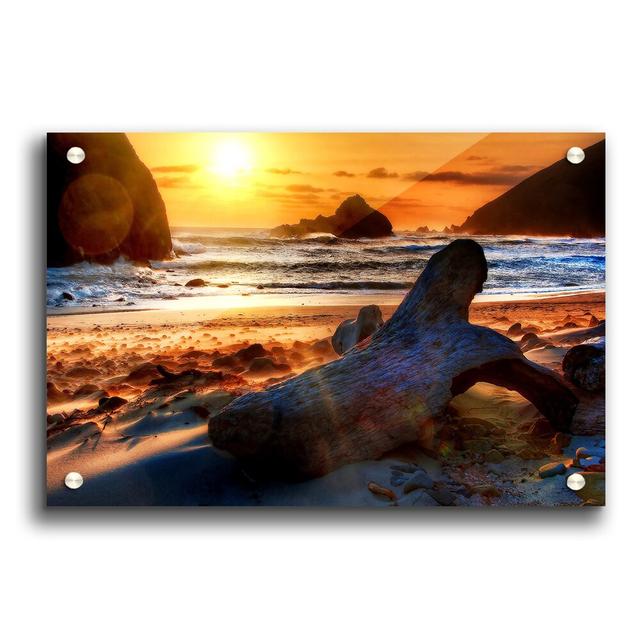 Driftwood at Sunset - Unframed Photograph Print on Paper East Urban Home Size: 21cm H x 29.7cm W on Productcaster.