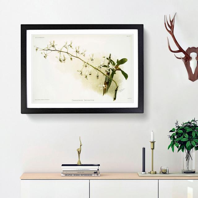 Magnolia Flowers Illustration Tab. 95 by Frederick Sander - Picture Frame Art Print East Urban Home Frame Option: Black Framed, Size: 48cm H x 65cm W on Productcaster.