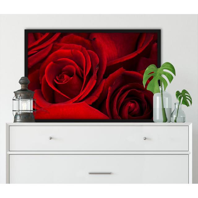 Gerahmtes Wandbild Roses ModernMoments Größe: 38 cm H x 30 cm B x 2.5 cm T on Productcaster.