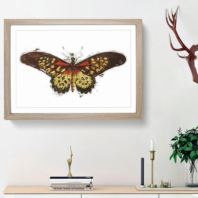 Leona Butterfly by George Shaw - Picture Frame Painting Print East Urban Home Frame Option: Oak Framed, Size: 36cm H x 48cm W x 2cm D on Productcaster.