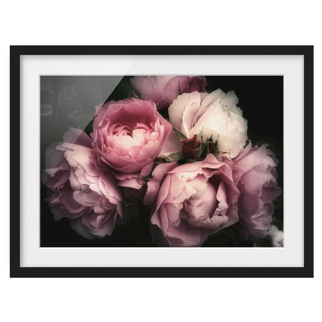 Peonies Before Black Shabby - Picture Frame Graphic Art Rosdorf Park Size: 50cm H x 70cm W x 2cm D, Format: Black Framed, Matte Colour: No Matte on Productcaster.