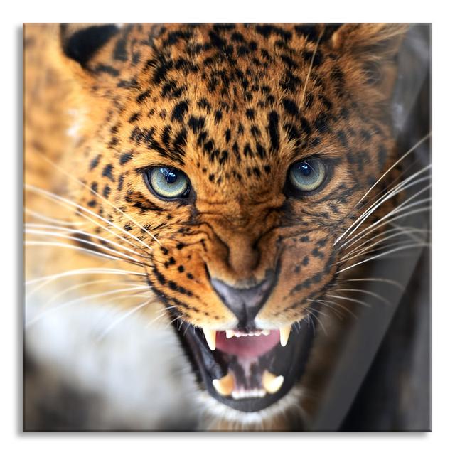 Stalking Leopard - No Frame Print on Glass Ebern Designs Size: 80cm H x 80cm W x 0.4cm D on Productcaster.