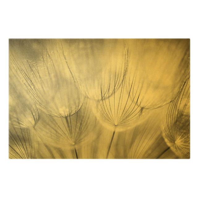 Dandelion Macro Shot in Black and White - Wrapped Canvas Graphic Art Ebern Designs Size: 40cm H x 60cm W on Productcaster.