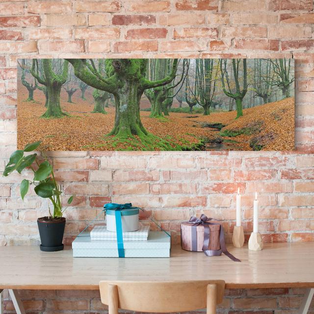 Beech Forest in the Gorbea Natural Park in Spain - Wrapped Canvas Painting Union Rustic Format: Recycled Canvas, Size: 30cm H x 90cm W on Productcaster.