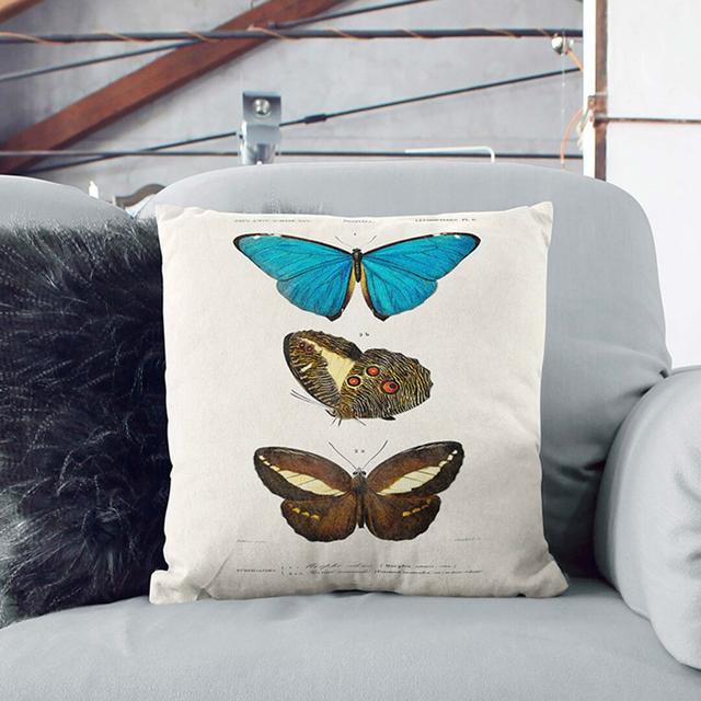 Butterfly Illustrations PL. 6 by Charles D' Orbigny Cushion with Filling East Urban Home Size: 40cm H x 40cm W x 15cm D, Backing Colour: White on Productcaster.