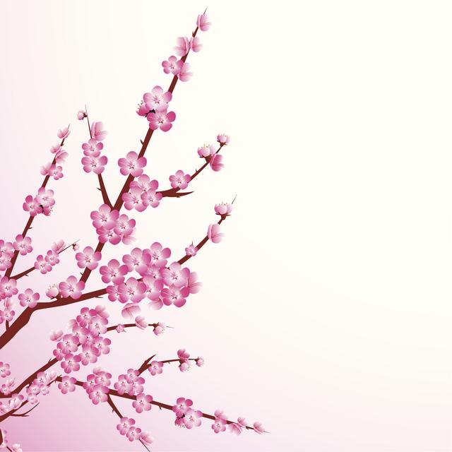 Cherry Blossoms by Yu-la - Wrapped Canvas Print ClassicLiving Size: 122cm H x 122cm W on Productcaster.