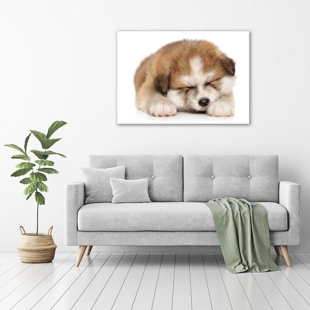 Akita Puppy - Wrapped Canvas Art Prints Brayden Studio on Productcaster.