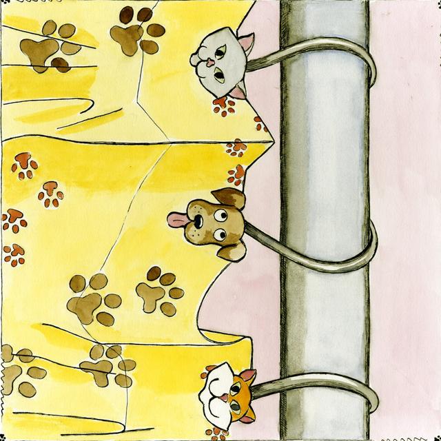 Paws by Tara Friel - Wrapped Canvas Painting Zoomie Kids Size: 91cm H x 91cm W x 3.8cm D on Productcaster.