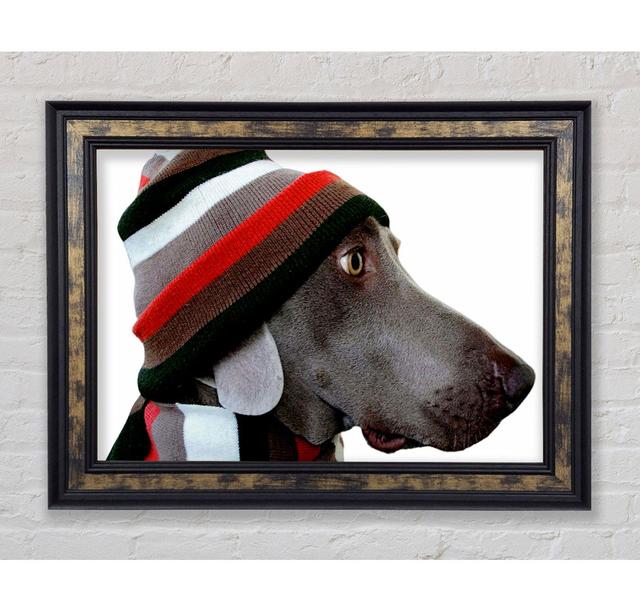 Dog Funny Hat Framed Print Ivy Bronx Size: 59.7cm H x 84.1cm W x 8cm D on Productcaster.