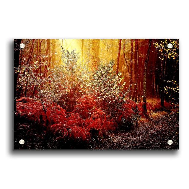 Autumn Forest - Unframed Photograph Print on Acrylic East Urban Home Size: 59.4cm H x 84.1cm W on Productcaster.