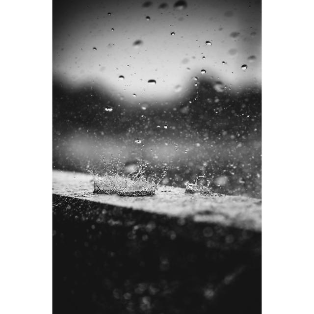 Autumn Rain - Wrapped Canvas Photograph 17 Stories Size: 46cm H x 30cm W on Productcaster.