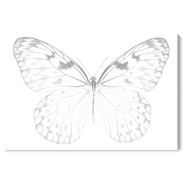 'Blanched Butterfly Minimal 2' - Wrapped Canvas Graphic Art Print Oliver Gal Size: 76.2 cm H x 50.8 cm W on Productcaster.