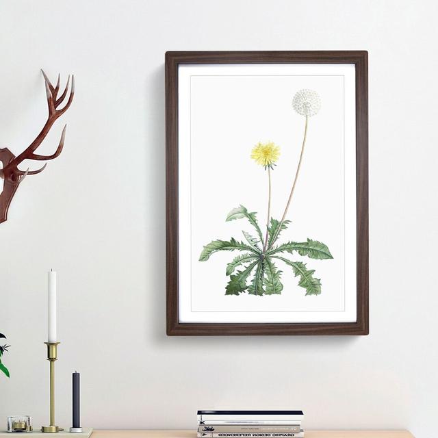 Blooming Dandelion by Pierre-Joseph Redoute - Picture Frame Painting Print East Urban Home Frame Option: Walnut Framed, Size: 36cm H x 27cm W x 2cm D on Productcaster.