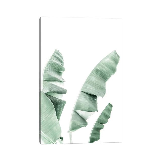 Banana Leaf von Sisi & Seb - Gallery-Wrapped Canvas Giclée on Canvas Sansibar Home Format: Leinen, Größe: 66,04 cm H x 45,72 cm B x 3,81 cm T on Productcaster.