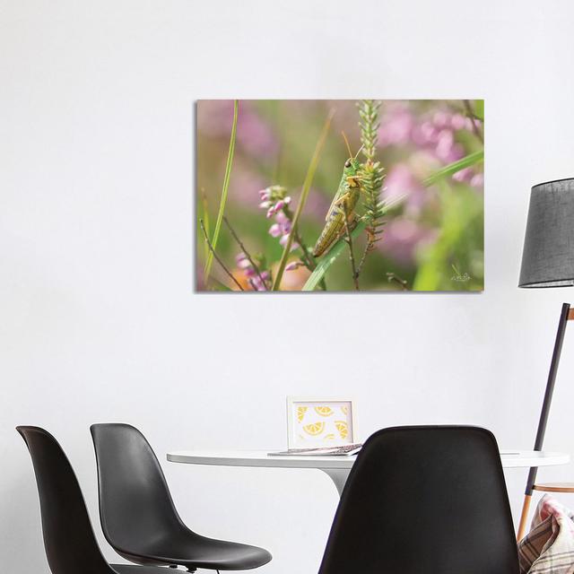 Grasshopper by Martin Podt - Wrapped Canvas Gallery-Wrapped Canvas Giclée Latitude Run Size: 66.04cm H x 101.6cm W x 3.81cm D on Productcaster.