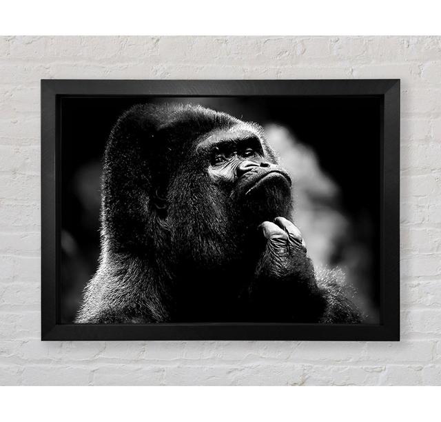 Thoughtful Gorilla B N W - Single Picture Frame Art Prints Bright Star Size: 59.1cm H x 84.1cm W x 3.4cm D on Productcaster.