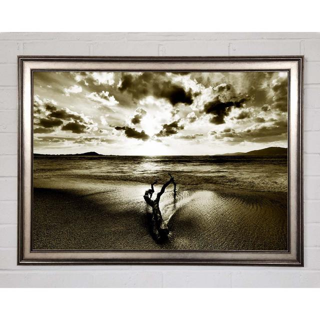 Single Picture Frame Art Prints Ebern Designs Size: 29.7cm H x 42cm W on Productcaster.