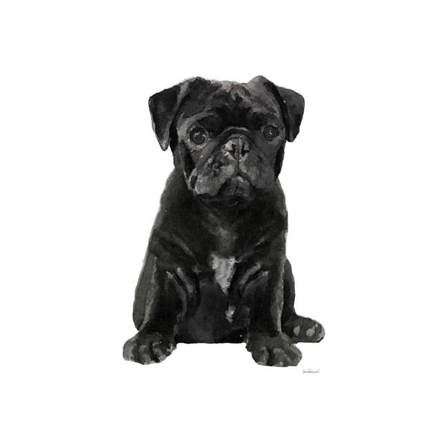 Pug Ii by Amanda Greenwood - Wrapped Canvas Art Prints Marlow Home Co. Size: 76cm H x 51cm W on Productcaster.